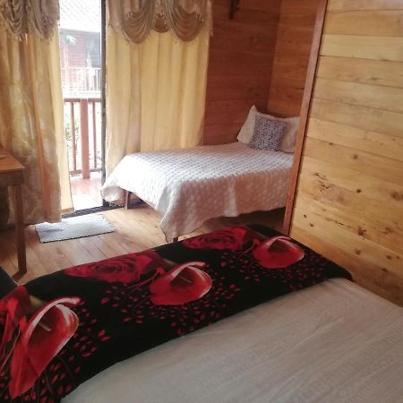 Cabanas San Gerardo 산제라르도 데 도타 외부 사진